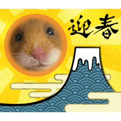 うちのらぶりっ子ちゃんパート3