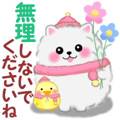 冬に使えるポメラニアン「ぽちゃん」改訂版