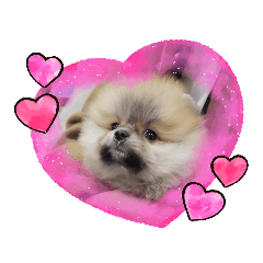 ふくまるくん①