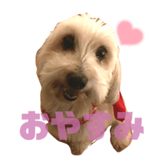 我が家のあんよちゃん