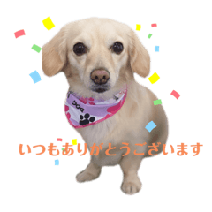 nocoスタンプ ②