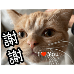 WilliaM_20220526193920