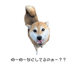 みらはなスタンプ‼︎