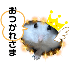 かわいいリアルなハムスターの日常