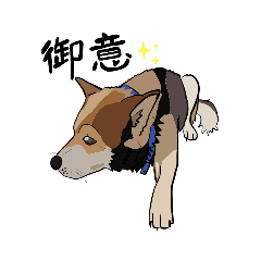 雑種犬ビターくん