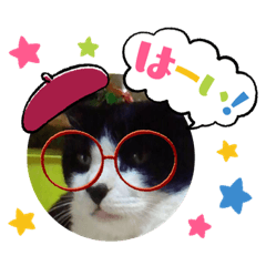 うちのニャンコとチロルくん