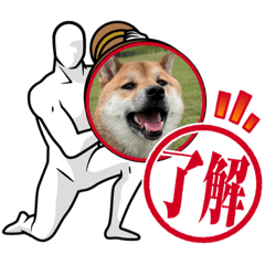 喜怒哀楽の様々に適用される、犬