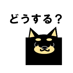 《柴犬》金沢区生活♪