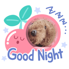 ガオガオちゃん