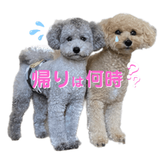 プッピー&シルキー（#01）