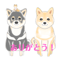 黒柴すもも&赤豆柴はづき&レオパ スタンプ