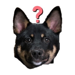 黒犬ミルのスタンプ