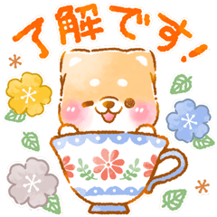 癒しの北欧生活❤️いやしばいぬ❤️敬語