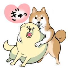 「今日もブブはからまわり。」の犬たち