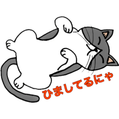 ハチワレ猫・スタンプ