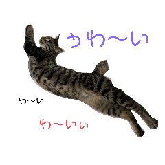 キキ王子の日常２