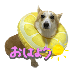 食パンですが何か？？