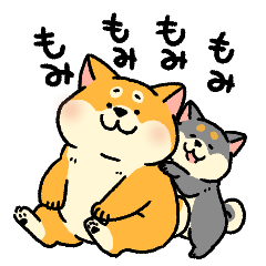 柴犬むちとゆかいな仲間たち【犬の日】