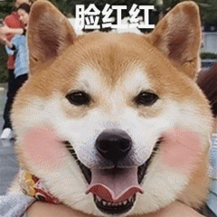 Funny firewood dog's daily life 9