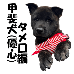 甲斐犬LOVE １
