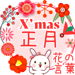 X’mas◆お正月●花の言葉