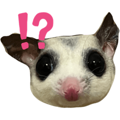 ちいはるスタンプ〜フクロモモンガ〜