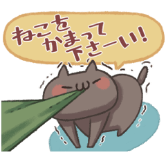 動く！ねこのくろ ぱーと5！