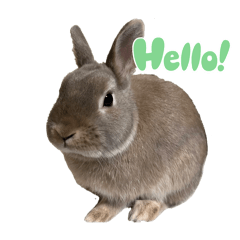 アニマルさん挨拶スタンプ