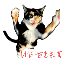 鯖三郎とししゃも