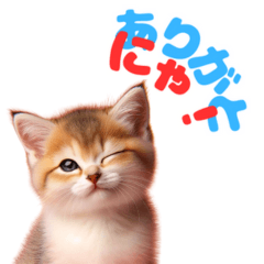 Cat-tastic Greetings