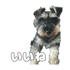 ぼくトラスティ3