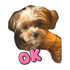 モカちゃん202407