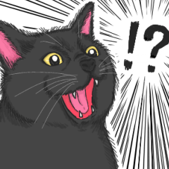 黒猫さんとシャム猫さんの日常