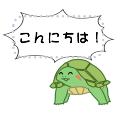 かめきちからのメッセージ