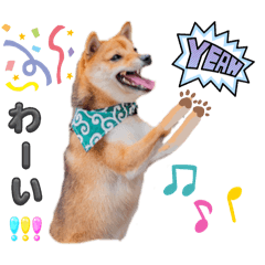 表情豊かな豆柴☆笑太郎のお喋りスタンプ