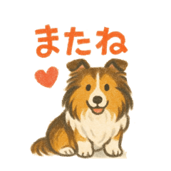 シェットランドシープドッグvol.1