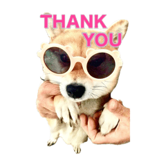 ナナちゃんナナゴロウ公式スタンプ②