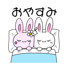 かわいいうさぎふうふ