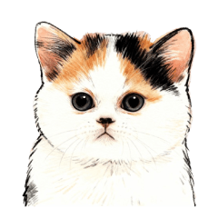 猫は液体ファミリー