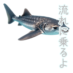 毎日ゆるっと♪大人の癒しマンボウ