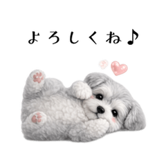 愛しの♡シュナウザー