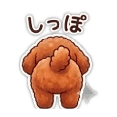 わが家の愛犬　トイプードル1