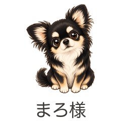 まろ様のゆる日常
