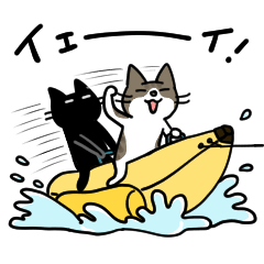 ナノときなこ13 (夏）