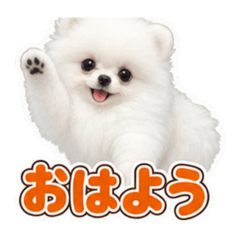 ボクぽんちゃんでしゅ❤︎