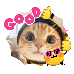 jahh_20260704100222