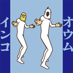 オウムとインコ