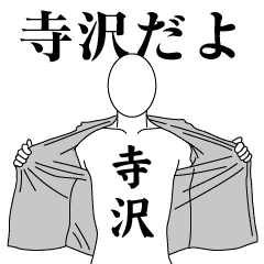 寺沢レボリューション2