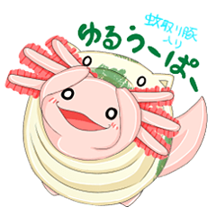 蚊取り豚入りウーパールーパー