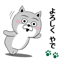 柴犬やねん★日常★優しい関西弁★前向き